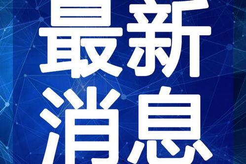 长沙一哥爆料视频大全最新,揭秘视频大全背后的惊人真相